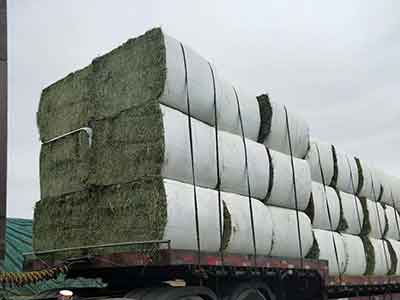 Stack of compressed bagged alfalfa bales
