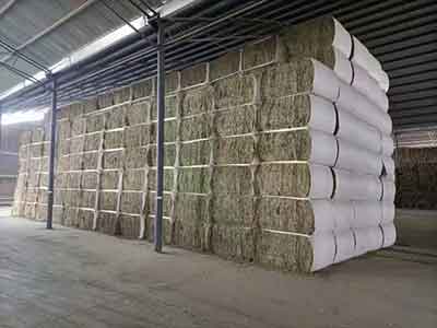 Dense bagged alfalfa bale