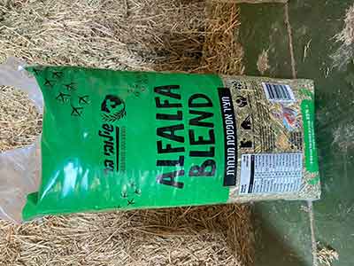 Dense bagged alfalfa bales ready for shipment