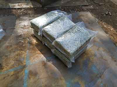 Bagged alfalfa hay bales