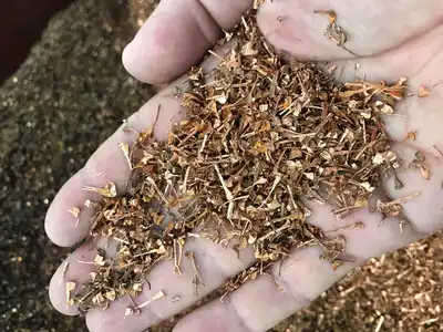 Mixed short brass turnings and chips