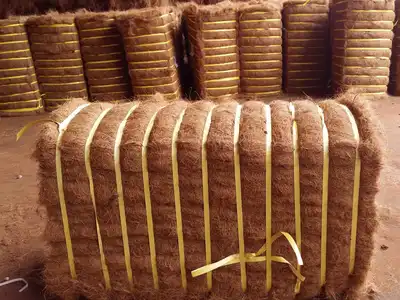Compressed coir bales stored for shipment