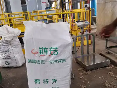 Bagged cotton seed hull blocks