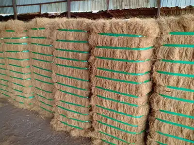 Dense palm fibre bales prepared for storage