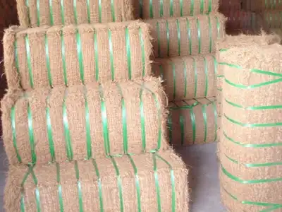 Compressed palm fibre bales secured with green straps