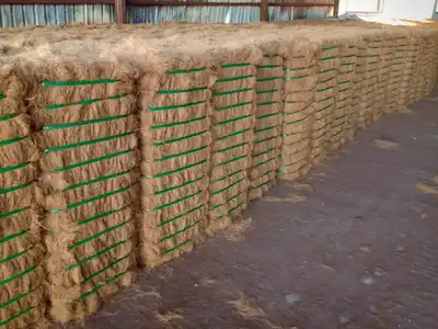 Long warehouse row of compressed palm fibre bales
