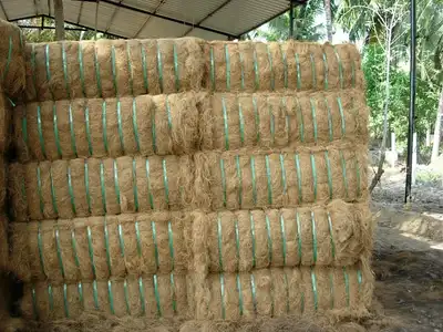 Palm fibre bales stacked in an open-sided shed