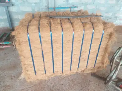 Single dense palm fibre bale secured with blue straps