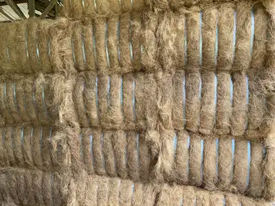 Rows of tied palm fibre bales