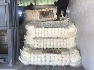 Sisal bales loaded inside a shipping container