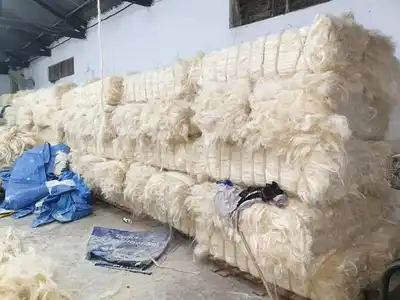 Large stacked white sisal fibre bales