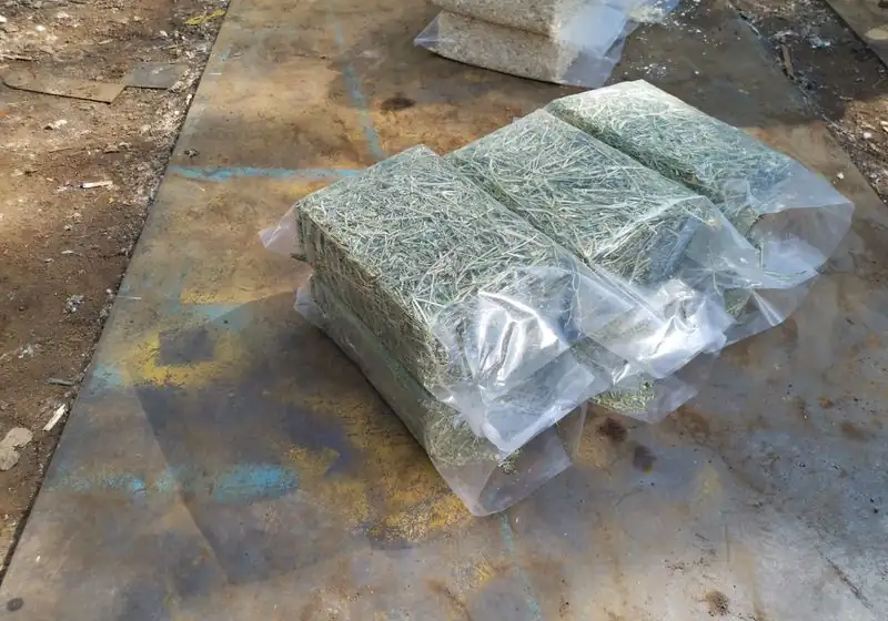 Compressed alfalfa hay retained in clear plastic bags
