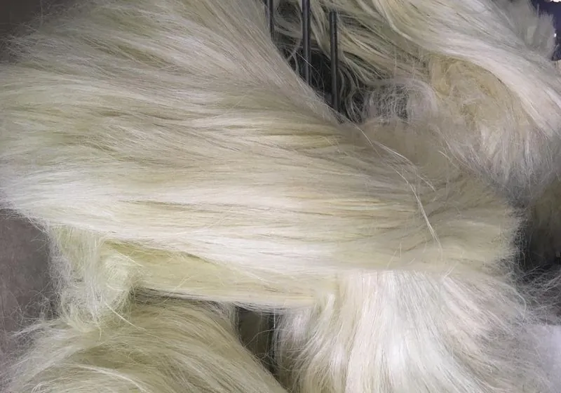 Loose pale sisal fibers before baling
