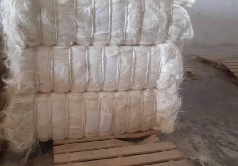 Compressed sisal fiber bales stacked on a wooden pallet