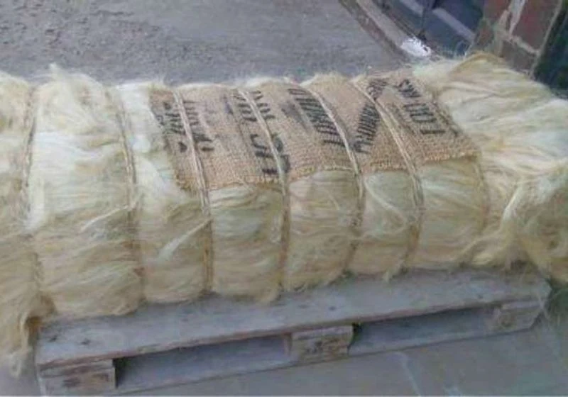 Tied sisal fiber bale resting on a pallet
