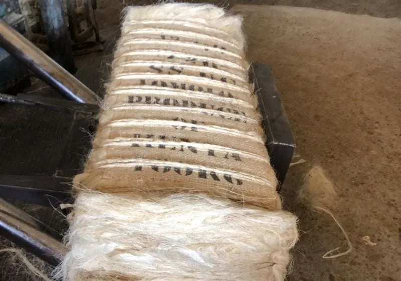 Long sisal fiber bale with wrapping and multiple ties