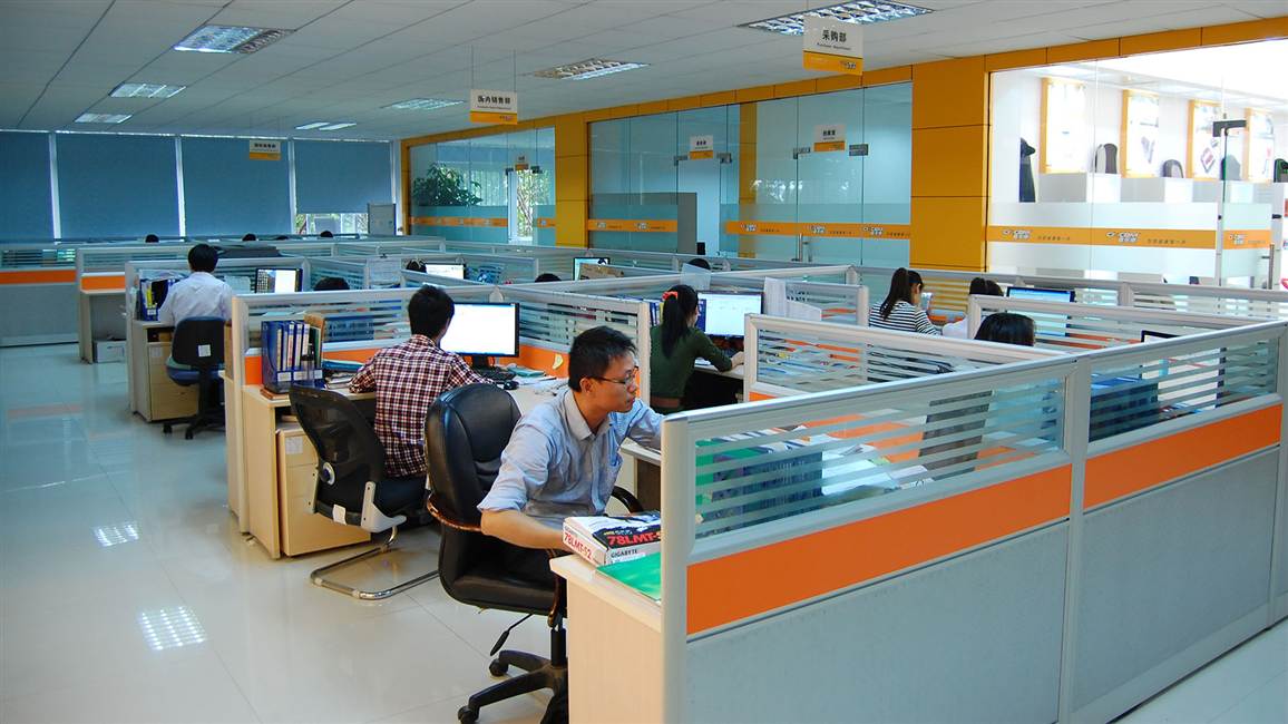 DILOYA — Office & Project Coordination